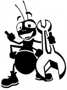 skruzdeliukas